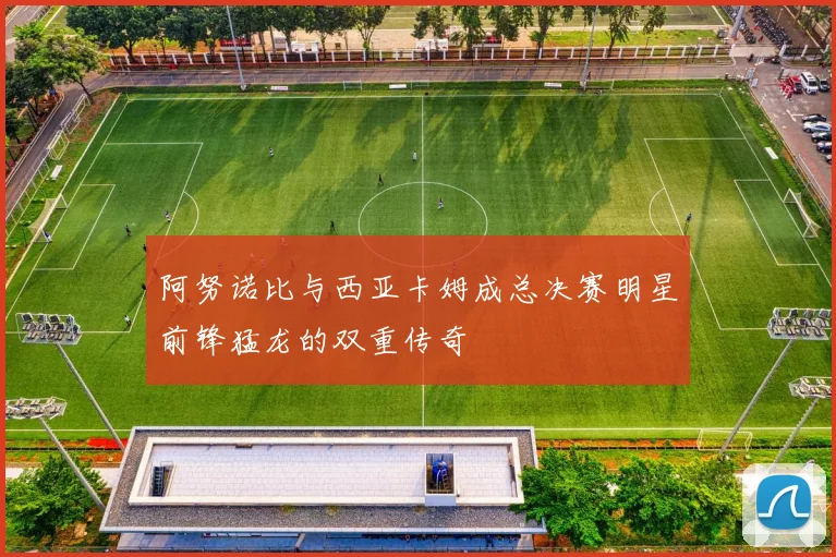 阿努诺比与西亚卡姆成总决赛明星前锋猛龙的双重传奇